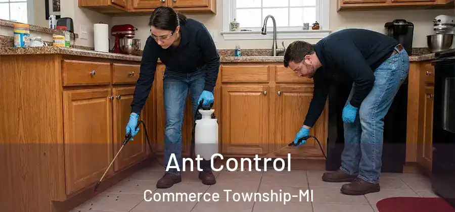  Ant Control Commerce Township-MI