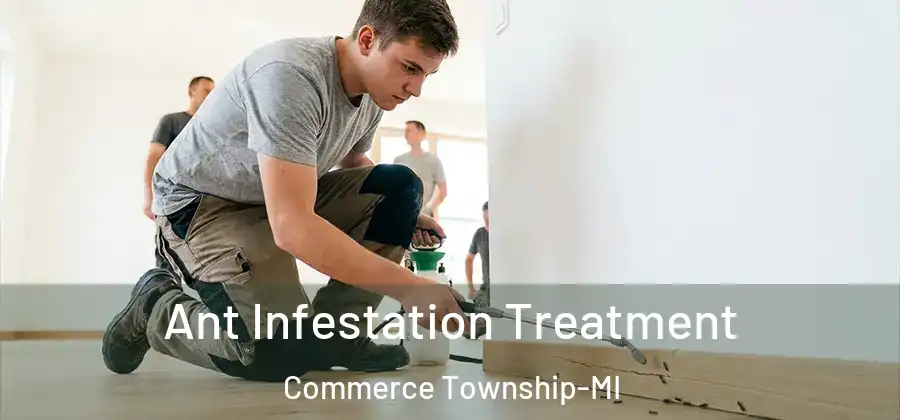 Ant Infestation Treatment Commerce Township-MI