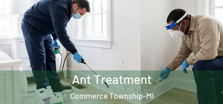  Ant Treatment Commerce Township-MI