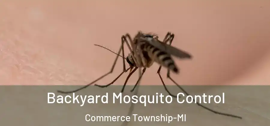  Backyard Mosquito Control Commerce Township-MI