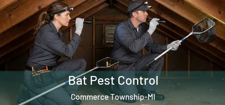 Bat Pest Control Commerce Township-MI
