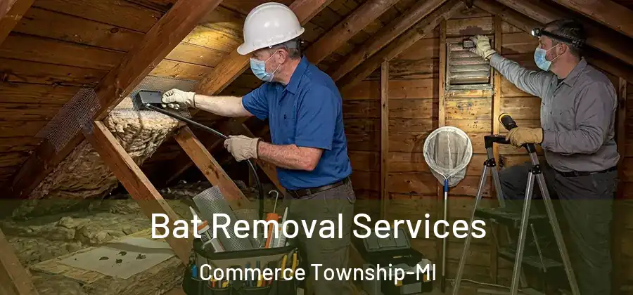 Bat Removal Services Commerce Township-MI
