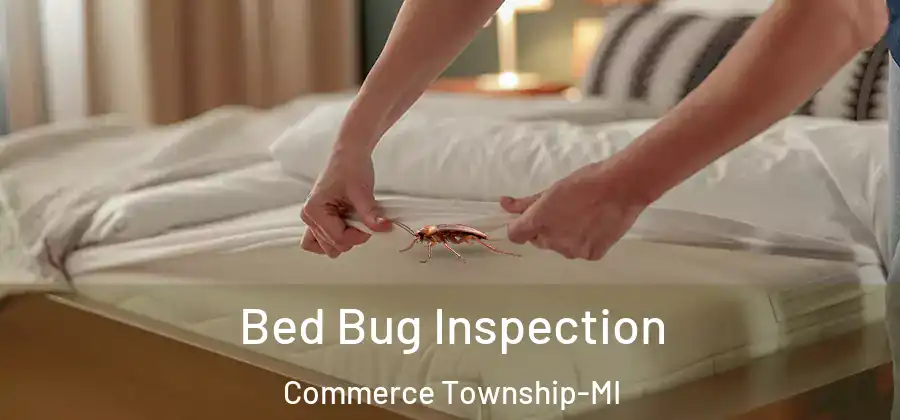  Bed Bug Inspection Commerce Township-MI