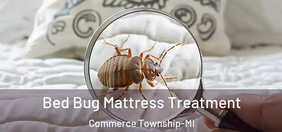  Bed Bug Mattress Treatment Commerce Township-MI