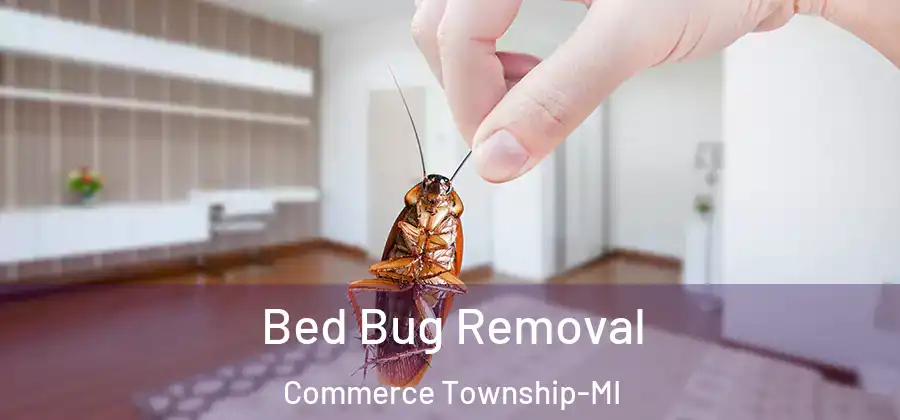  Bed Bug Removal Commerce Township-MI