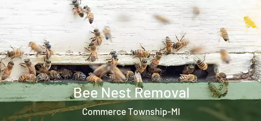  Bee Nest Removal Commerce Township-MI