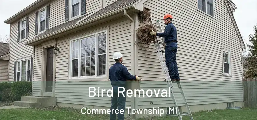  Bird Removal Commerce Township-MI