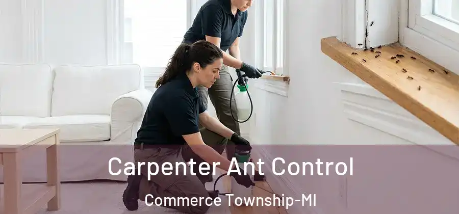  Carpenter Ant Control Commerce Township-MI