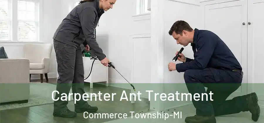  Carpenter Ant Treatment Commerce Township-MI