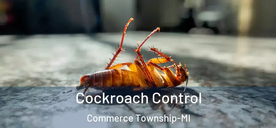  Cockroach Control Commerce Township-MI