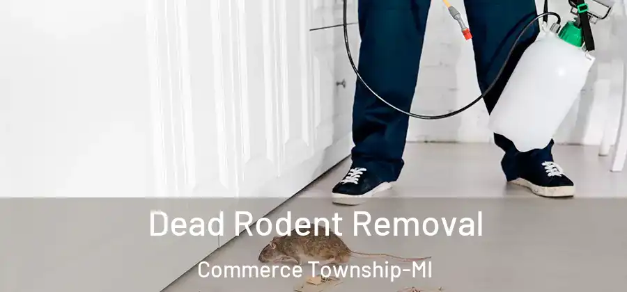  Dead Rodent Removal Commerce Township-MI
