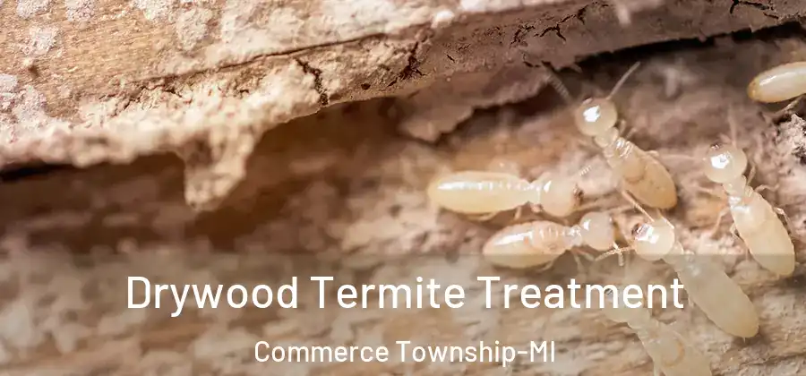 Drywood Termite Treatment Commerce Township-MI
