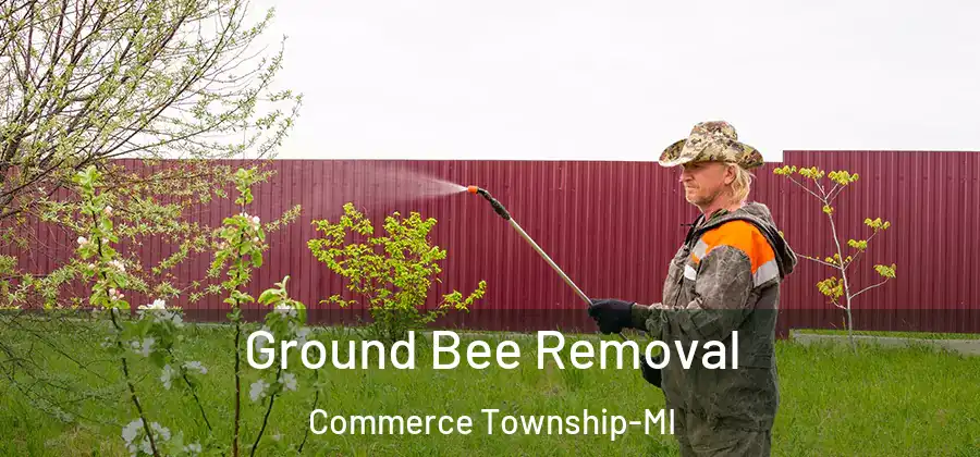 Ground Bee Removal Commerce Township-MI