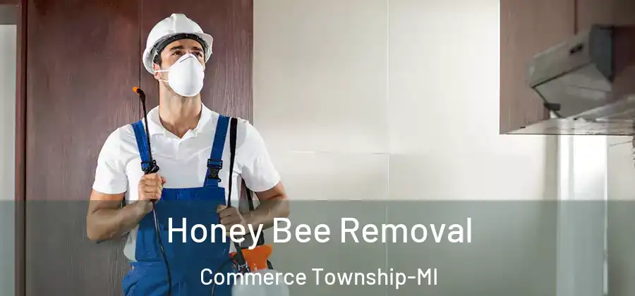  Honey Bee Removal Commerce Township-MI