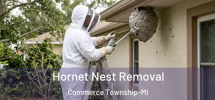 Hornet Nest Removal Commerce Township-MI
