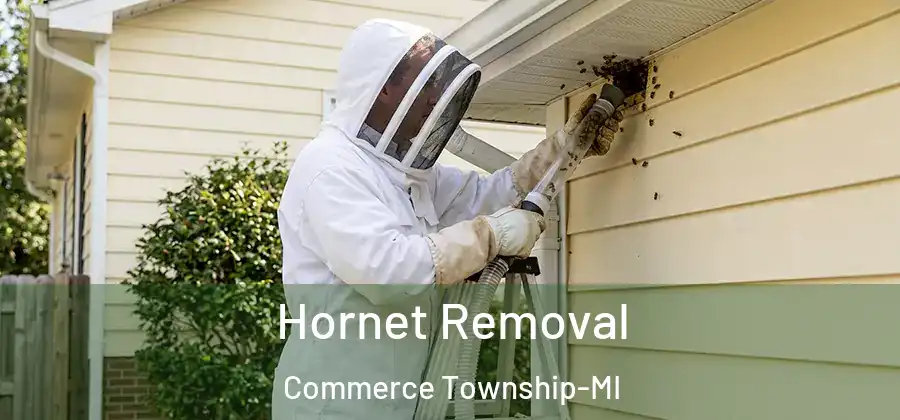  Hornet Removal Commerce Township-MI