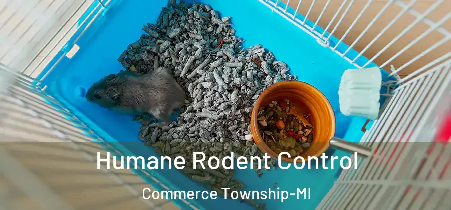 Humane Rodent Control Commerce Township-MI