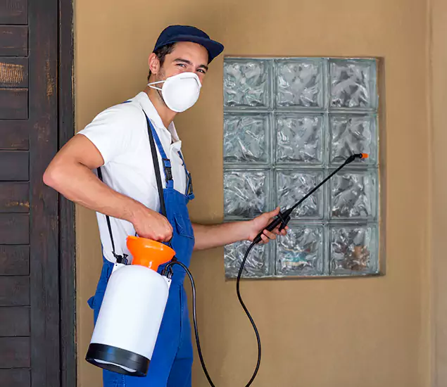 About Heat Treatment for Termites Experts in Commerce Township, MI