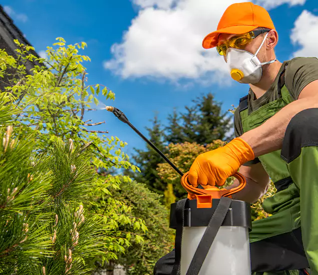 Your Mosquito Repellent Barrier Service in Commerce Township, MI