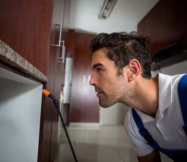 Termite Inspection Cost Experts You Can Trust in Commerce Township, MI