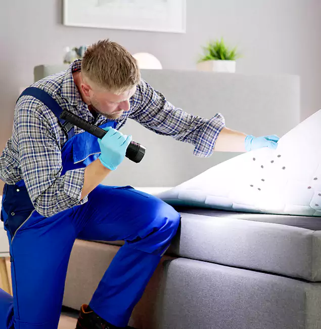 Why Choose Commerce Township Pest Control Pro for Bed Bug Exterminator Cost in Commerce Township, MI?