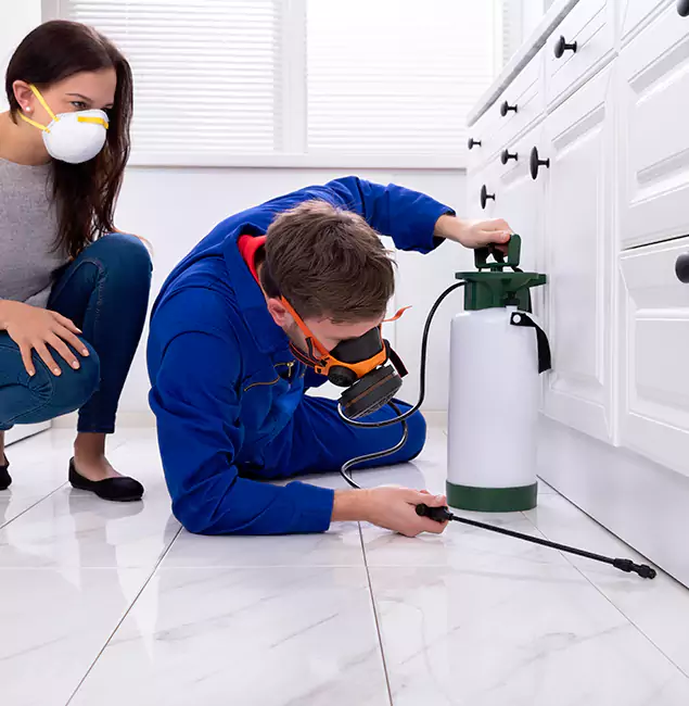 Why Commerce Township, MI Homeowners Trust Commerce Township Pest Control Pro for Roach Control?