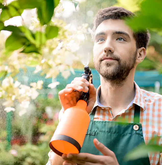 Why Commerce Township Homeowners Call Commerce Township Pest Control Pro for Mosquitoes in House?