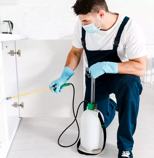 Why Choose Commerce Township Pest Control Pro for Termite Spot Treatment in Commerce Township, MI?