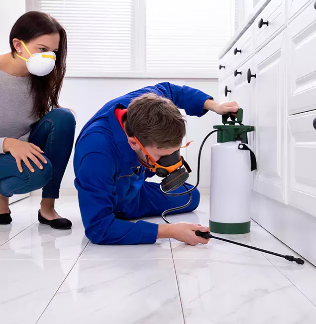 Why Choose Wood Termite Treatment by Commerce Township Pest Control Pro in Commerce Township, MI?