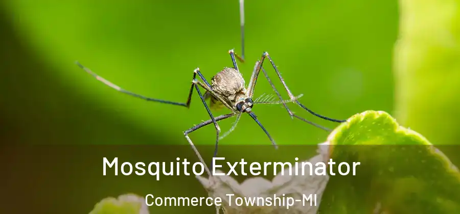  Mosquito Exterminator Commerce Township-MI