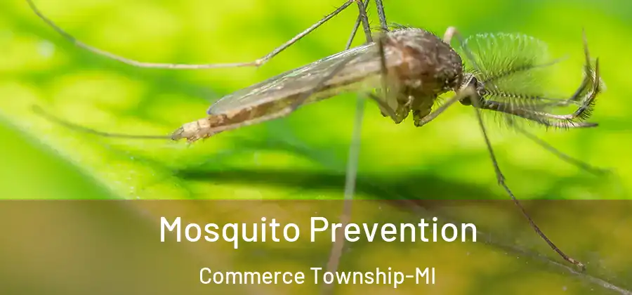 Mosquito Prevention Commerce Township-MI