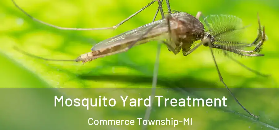 Mosquito Yard Treatment Commerce Township-MI