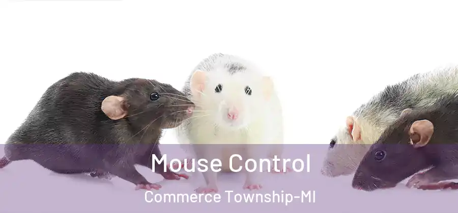  Mouse Control Commerce Township-MI