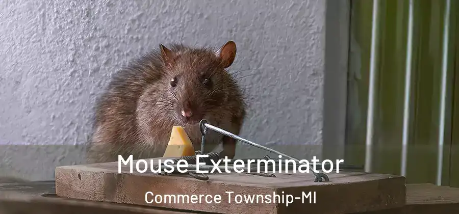  Mouse Exterminator Commerce Township-MI