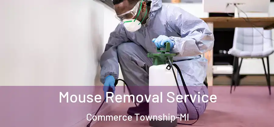  Mouse Removal Service Commerce Township-MI