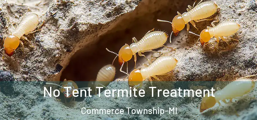  No Tent Termite Treatment Commerce Township-MI