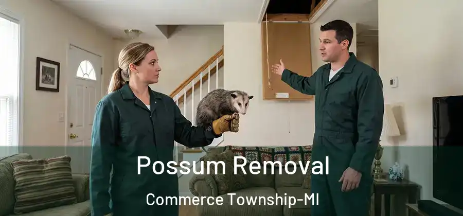Possum Removal Commerce Township-MI