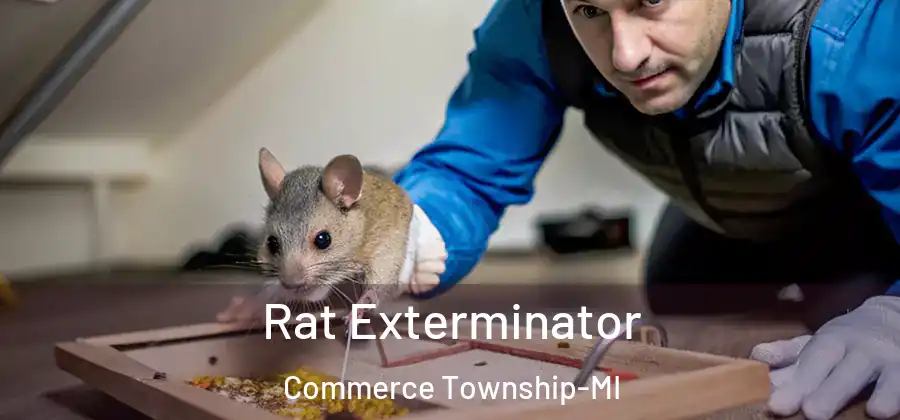 Rat Exterminator Commerce Township-MI
