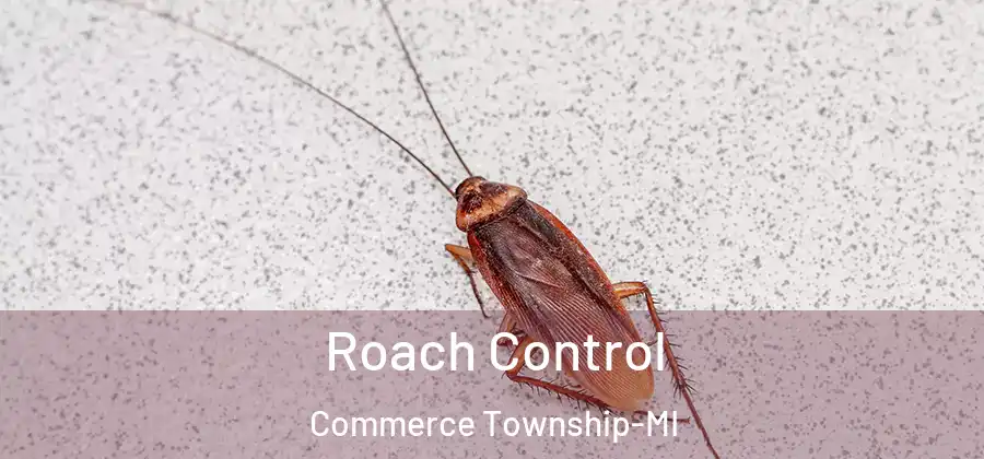 Roach Control Commerce Township-MI