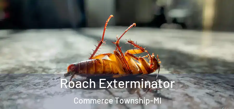 Roach Exterminator Commerce Township-MI