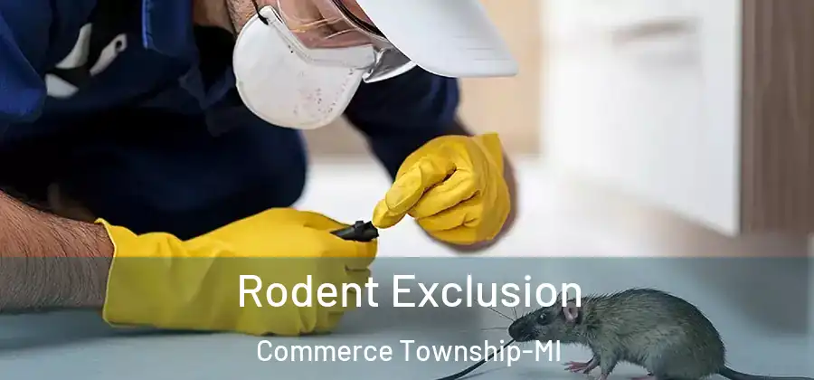  Rodent Exclusion Commerce Township-MI