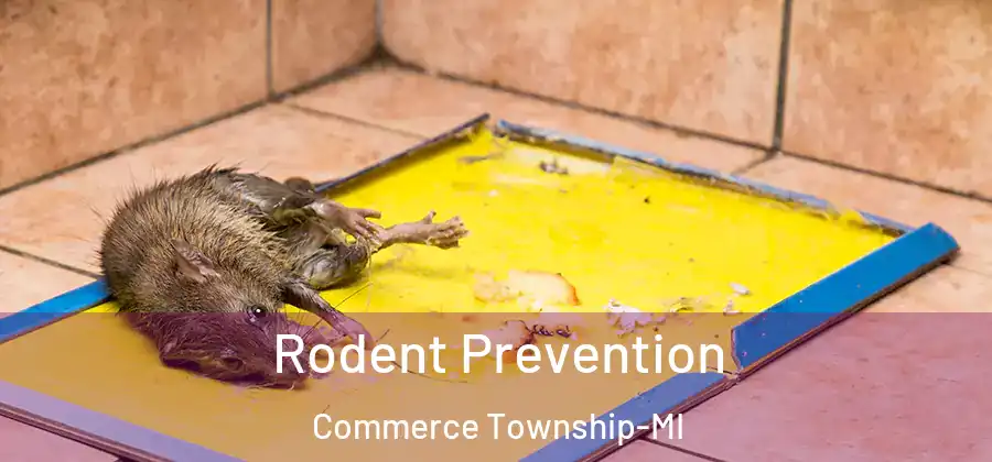  Rodent Prevention Commerce Township-MI