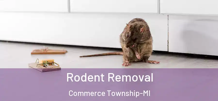  Rodent Removal Commerce Township-MI