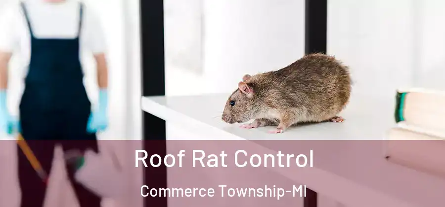  Roof Rat Control Commerce Township-MI
