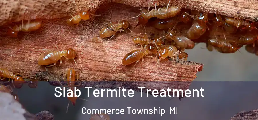  Slab Termite Treatment Commerce Township-MI