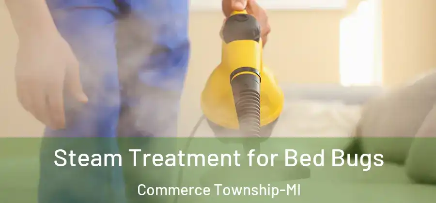 Steam Treatment for Bed Bugs Commerce Township-MI