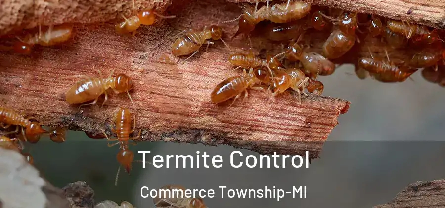  Termite Control Commerce Township-MI