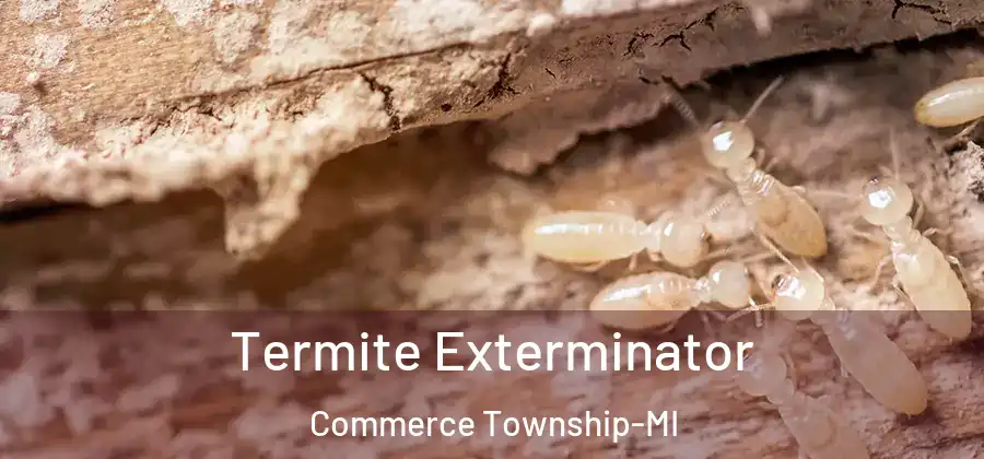  Termite Exterminator Commerce Township-MI