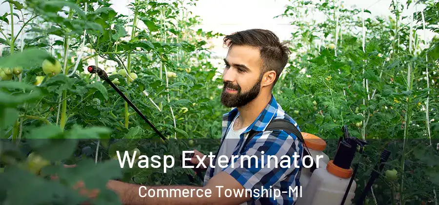 Wasp Exterminator Commerce Township-MI