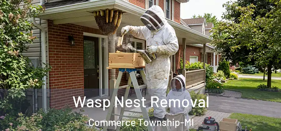  Wasp Nest Removal Commerce Township-MI